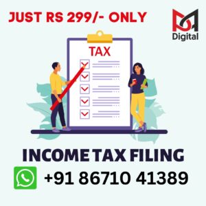 Salary income tax return